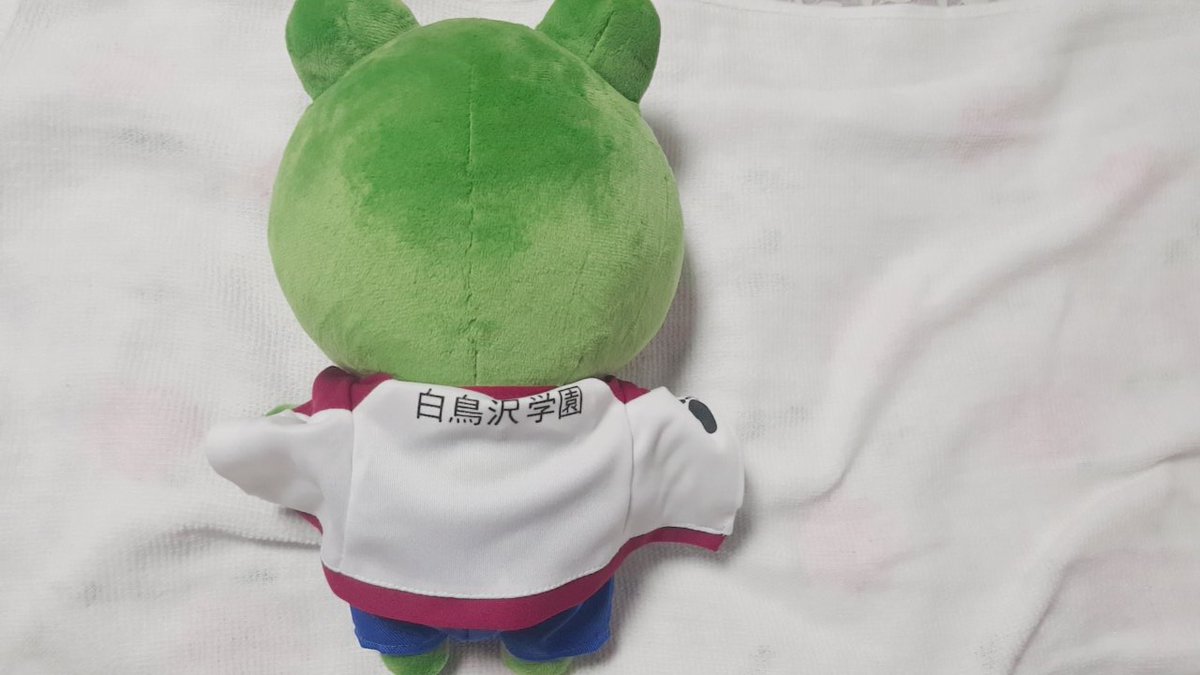 goods__selling's tweet photo. 하이큐 텐도 인형 판매합니다 :) 
운미포 2.2 

택배비 3500

@HQ_gonggu @HQ_GOODS_RT @figure_goods @goods_gonggu @haikyu__09 @HQ_tongpan @g09_rt https://t.co/ULay7jQPCL