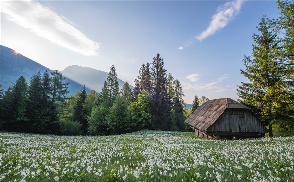 BeddinginReview's tweet photo. Beddinginn with a dream , close to nature
https://t.co/eSGcZrpbcF
#BeddinginnReviews #BeddinginnComplaints #BeddinginnScam #ArtOfBedding https://t.co/N5UtUVDYYg