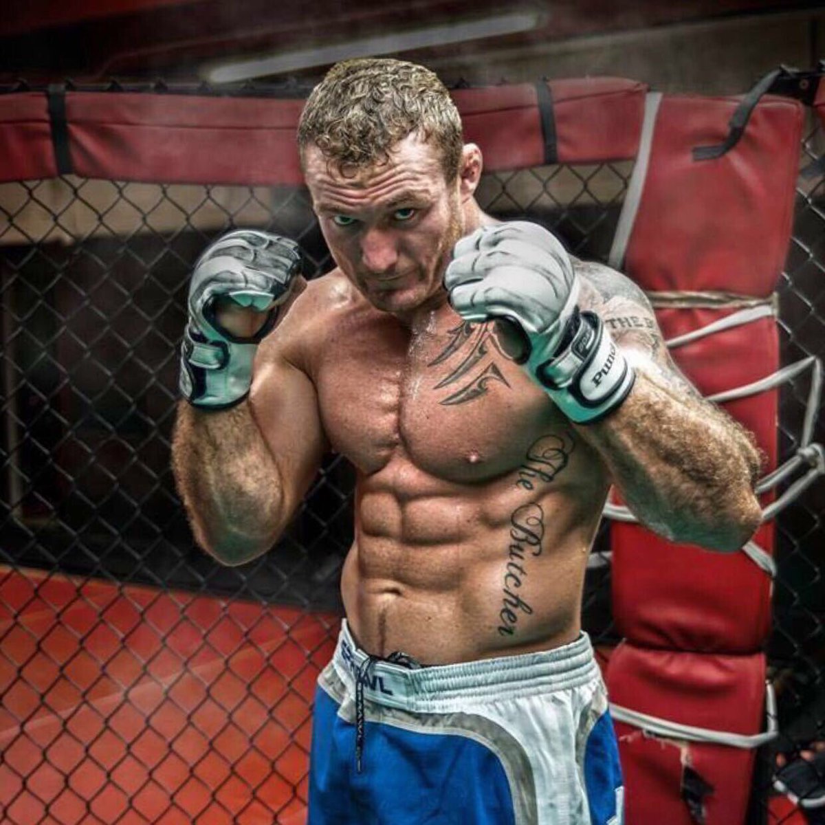 system_deep's tweet photo. Weekly sports massage &amp; mobilisation treatment done on MMA champ @Lee_the_butcher 
#investinyou #injuryprevention #Mma #fighter #systemdeep https://t.co/UdO0X4ksMM