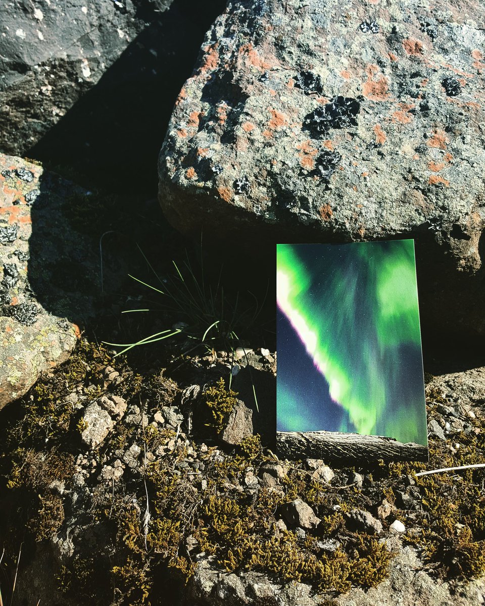 auroras_iceland's tweet photo. This postcard #aurorasiceland #iceland #austurland #easticeland #icelandicnature #icelandtravel #nature #tripadvisor #lonelyplanet #travel https://t.co/aOT8JSmz55