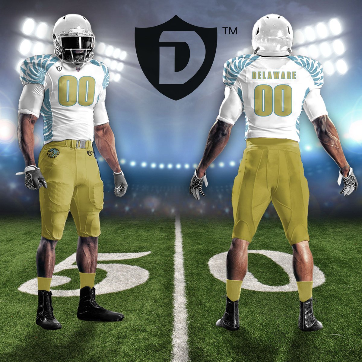 Delaware Falcons tweet media
