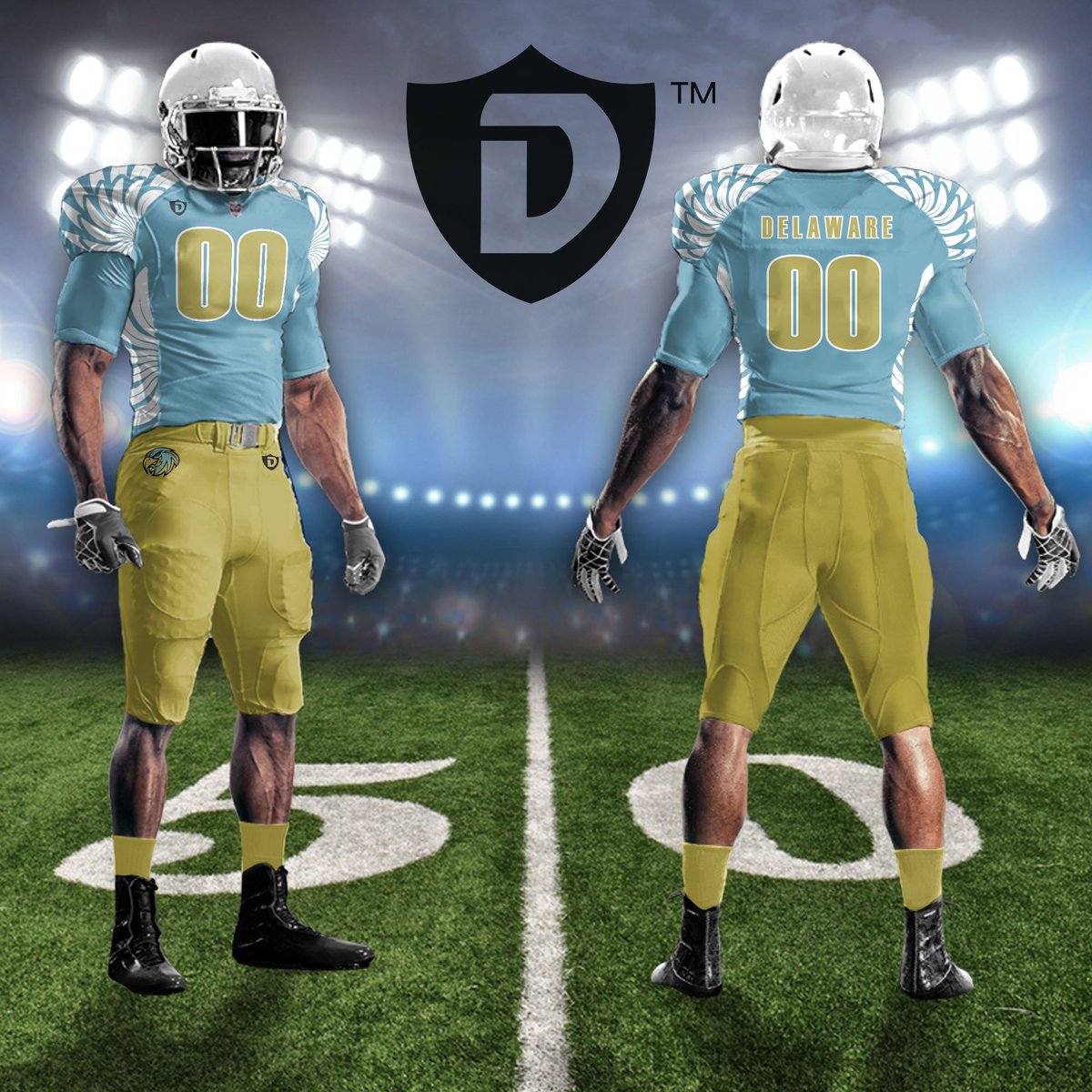 Delaware Falcons tweet media