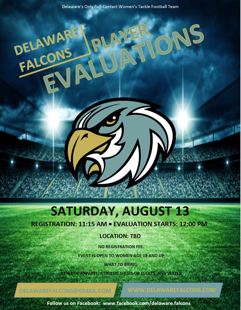 Delaware Falcons tweet media