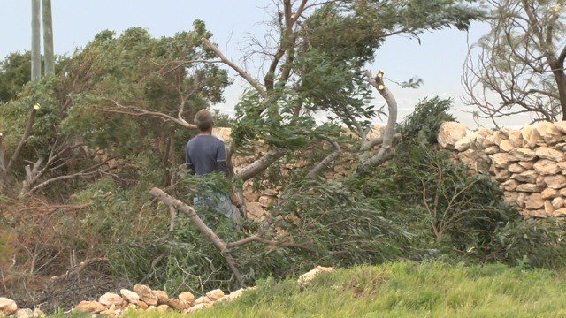 markoanstice's tweet photo. WINDBREAK BREAKS IN WIND https://t.co/8G24EO8CdF https://t.co/poLtsCOczI