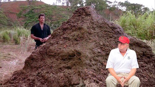 RockyMoop's tweet photo. jurassic park plot-twist: it wasn't the dinos it was the prez. also do you have any pepto &amp; a few air fresheners for @realdonaldtrump?thx. https://t.co/YkP19NkyDm