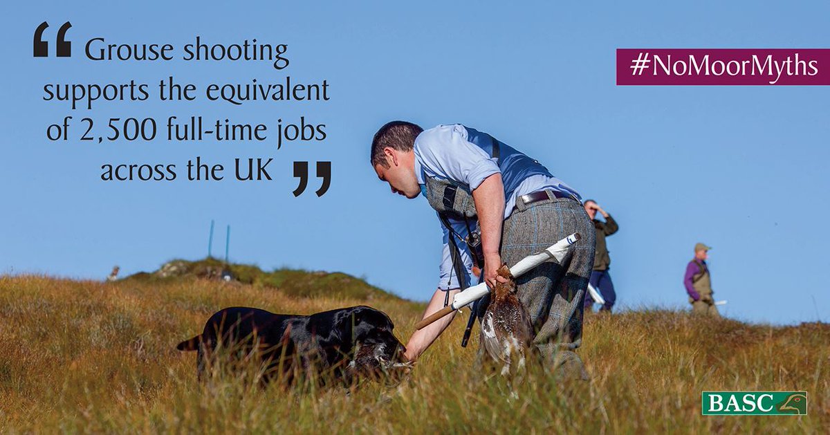 Grouse shooting not only provides thousands of employment opportunities across the UK it also conserves the land and wildlife! #NoMoorMyths