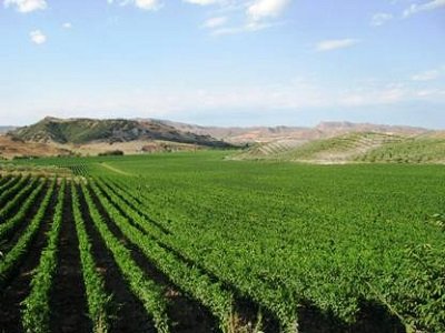 Il prossimo grande vino italiano è il Cirò?  Così Wine Spectator racconta la Calabria cronachedigusto.it/archiviodal-05…