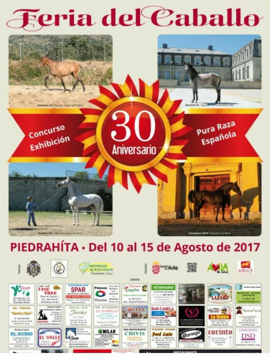 YegLasPerdices's tweet photo. Listos para la #feriadepiedrahita
https://t.co/e2iU1KfbBt
#ventadecaballos #pupilaje #caballo #morfologicos #piedrahita #pre #avila https://t.co/7snMZVkof4