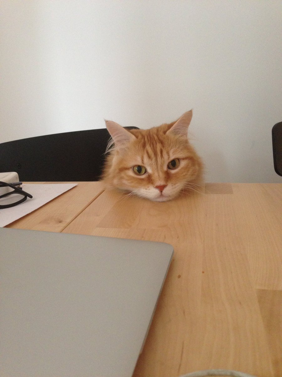 Baruch Von Pankakes tweet media