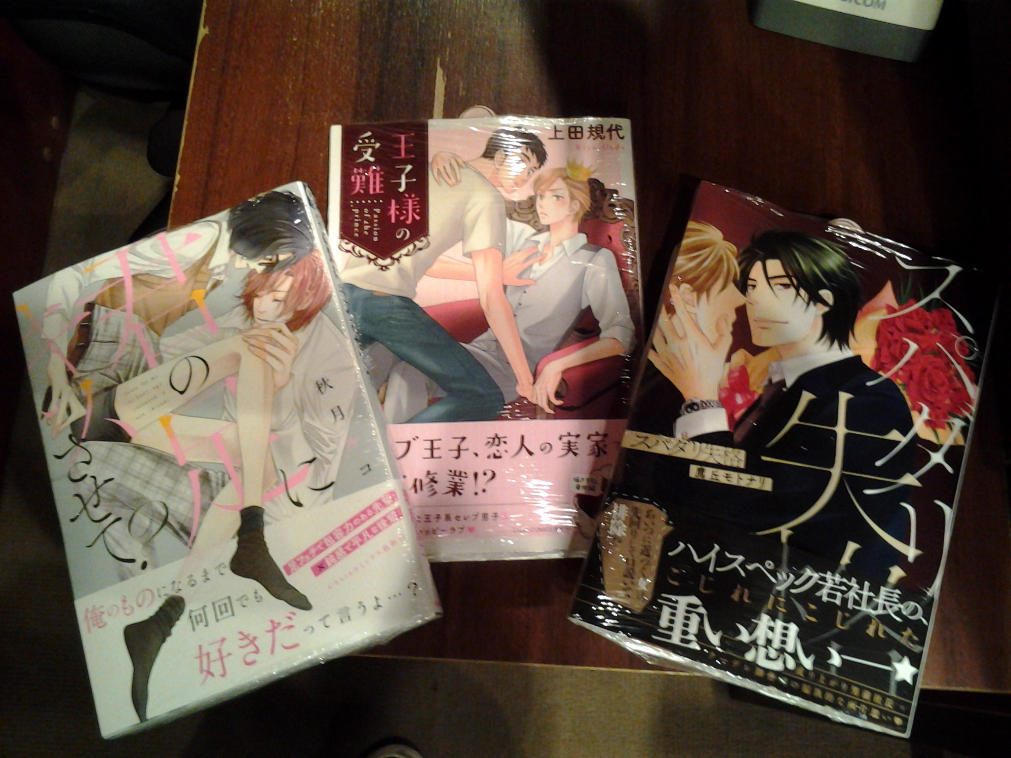 今野書店コミック店 ｂｌ新刊 キャラ オンブルーのコミックス発売です 上田規代 王子様の受難 鷹丘モトナリ スパダリ失格 秋月ルコ 君の足にキスさせて 紀伊カンナ 春風のエトランゼ 巻で第一部完結 前日譚 海辺のエトランゼ も