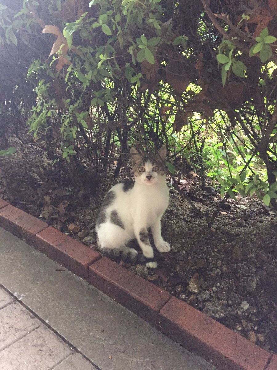 whisper (@namyeob12171012) on Twitter photo 