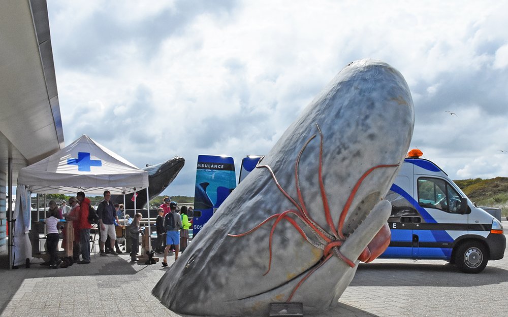 EcomareTexel's tweet photo. #Walvisdag! Gezellig druk bij Walvisziekenhuis @SOSDolfijn en de walvisbotten van Adrie en Ineke Vonk. Kom je ook? https://t.co/d8khIjuz7W https://t.co/uKowBxpe57