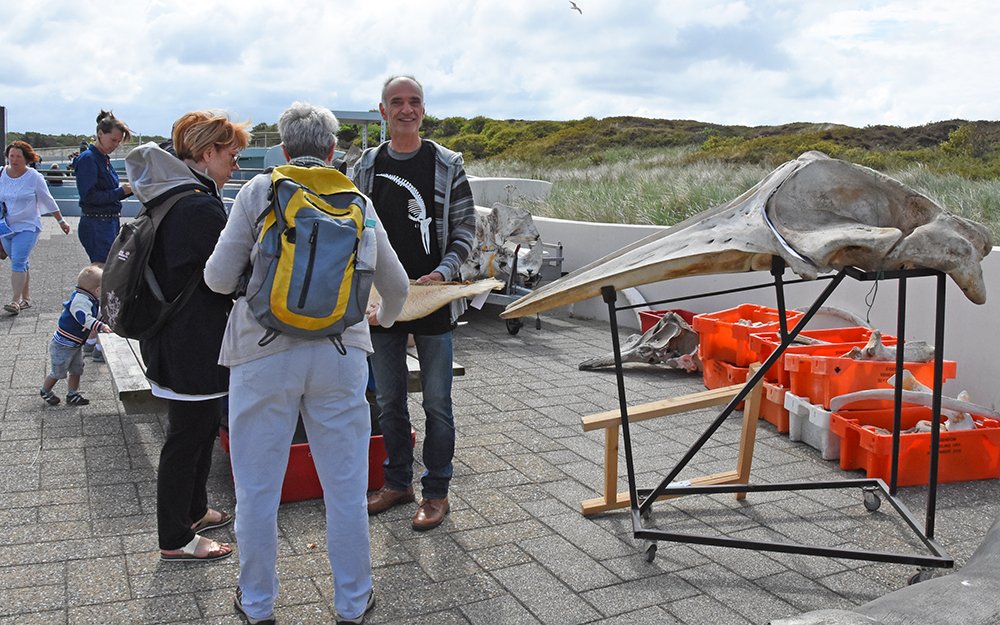 EcomareTexel's tweet photo. #Walvisdag! Gezellig druk bij Walvisziekenhuis @SOSDolfijn en de walvisbotten van Adrie en Ineke Vonk. Kom je ook? https://t.co/d8khIjuz7W https://t.co/uKowBxpe57