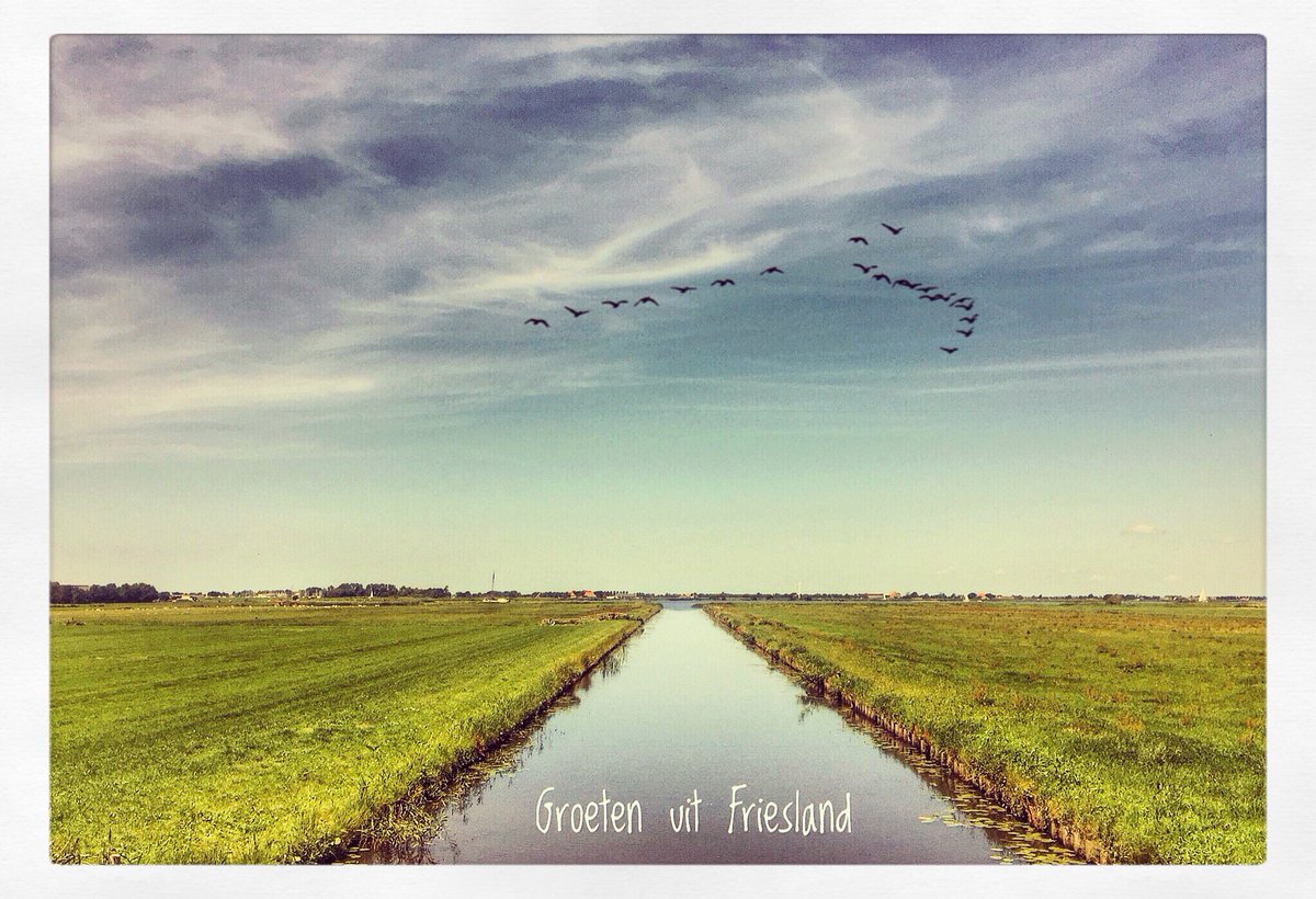 SjDepp's tweet image. Artviewer, de stilte van rust...