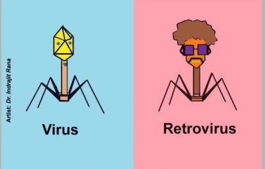UCC_iGEM's tweet photo. #Lol https://t.co/6T5MqutiqO