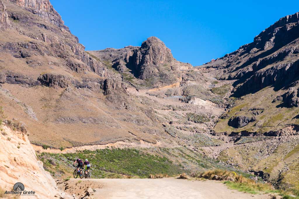 SaniDragon tweet media