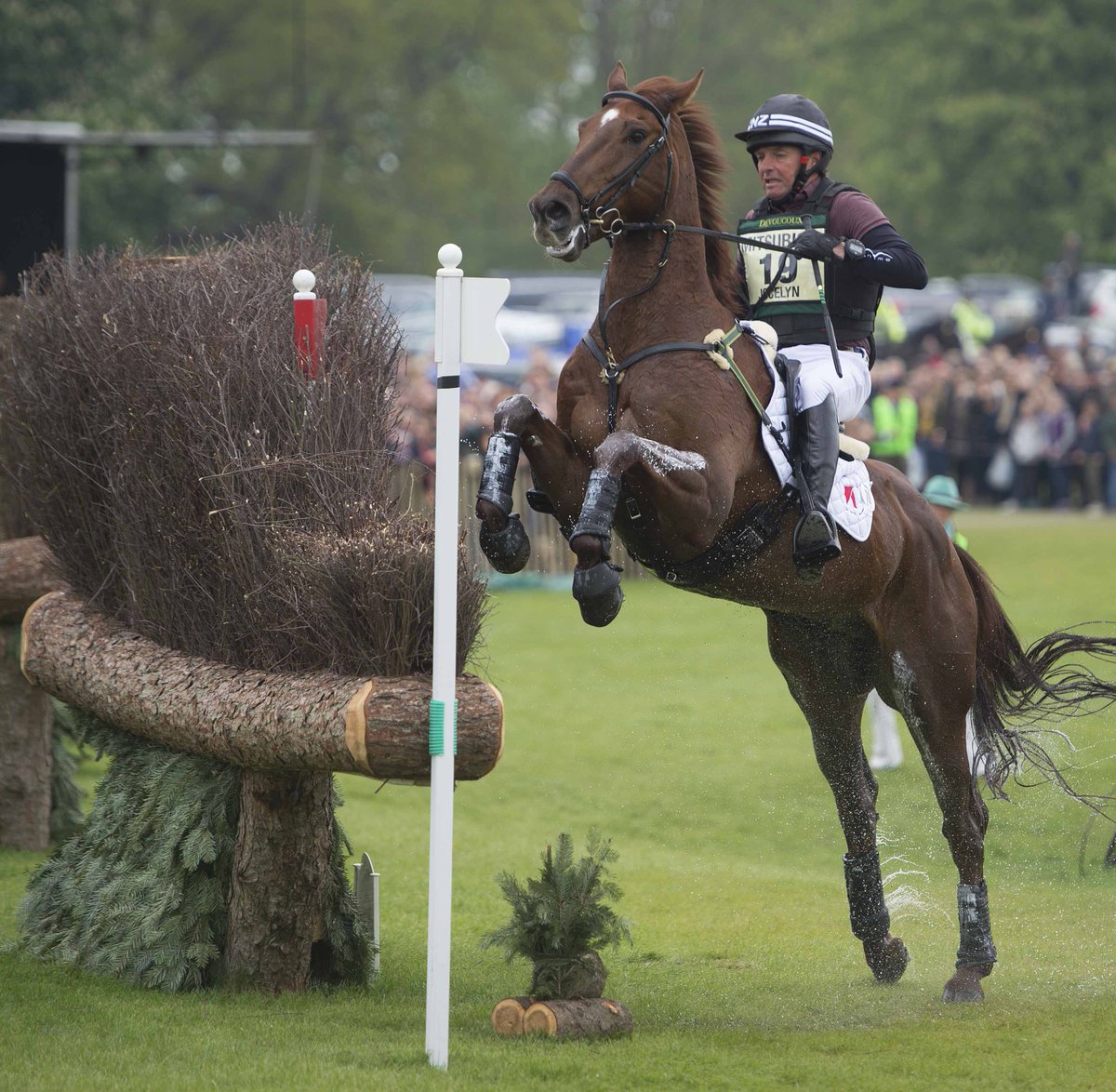 Learn how to photograph the best horses in the world at #Burghley Horse Trials bit.ly/2vFxybR #LRBHT #photoschool #horseandhound