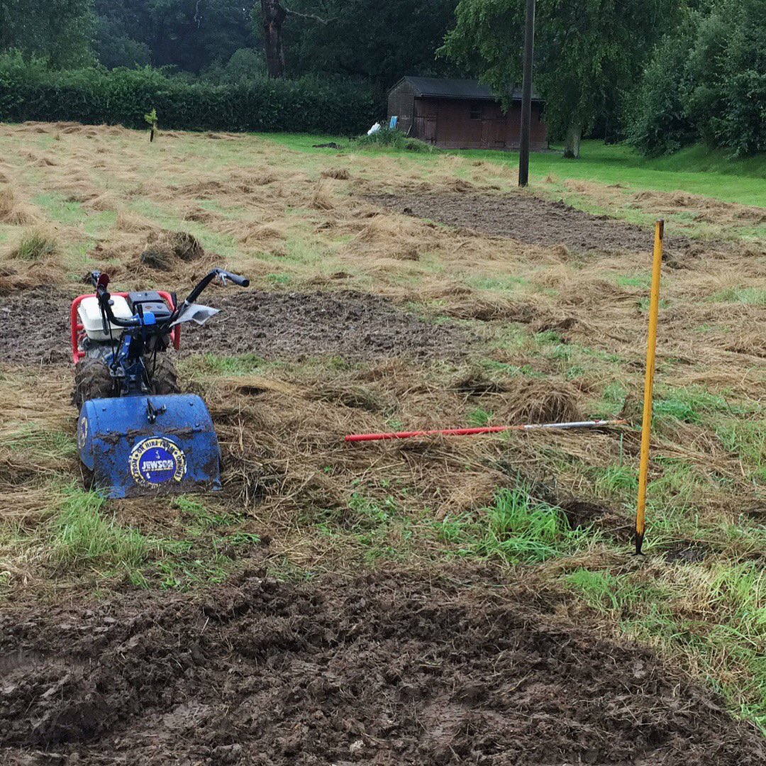 We're making a half acre meadow today. In the rain. Make your own mini meadow at patchproject.co.uk #ButterflyCount #bees #nature