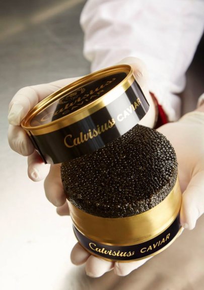 CalvisiusUSA's tweet photo. Our caviar is recognized as an international delicacy and can take 10-15 years to harvest. #CalvisiusCaviar https://t.co/rWsWQwNnju