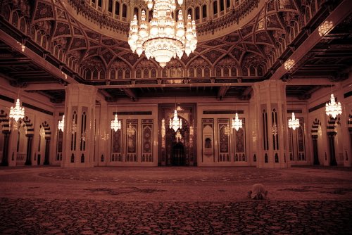 fareeedh0's tweet photo. اللّهم جنبنِي الحيرة والتشتُت..وألهمني بقرار بهِ أستقيم. https://t.co/JbEp4tm5Me