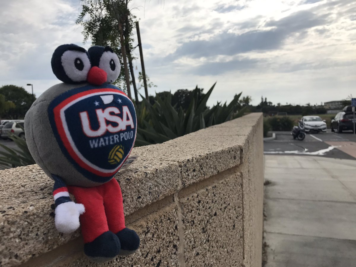 USAWP's tweet photo. That look you get when you're contemplating your #2017JOs championship day debut. Good luck to all teams competing today! #Shieldy https://t.co/N6DqENpAj7