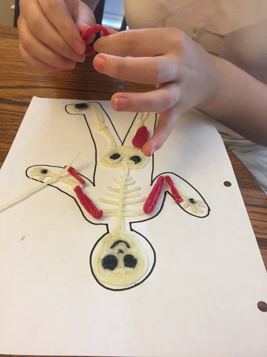 MrsBullock4Real's tweet photo. STEAM Camp 2017: Sculpting human body systems with #wikkistix and #bendaroos @MackRaiders @LubbockISD https://t.co/tmSPviw6P7