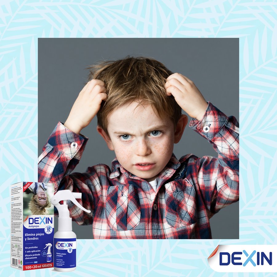 3..2..1.. ¡Adiós a los piojos! Con una sola aplicación y en 10 minutos elimina los piojos y liendres con #DEXIN.