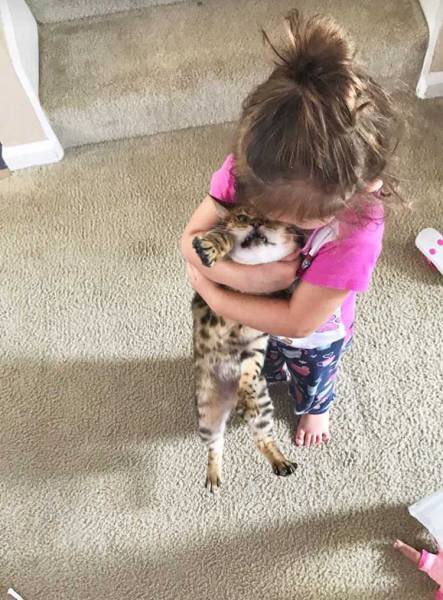 DFl7oocXUAIdVD8.jpg:small