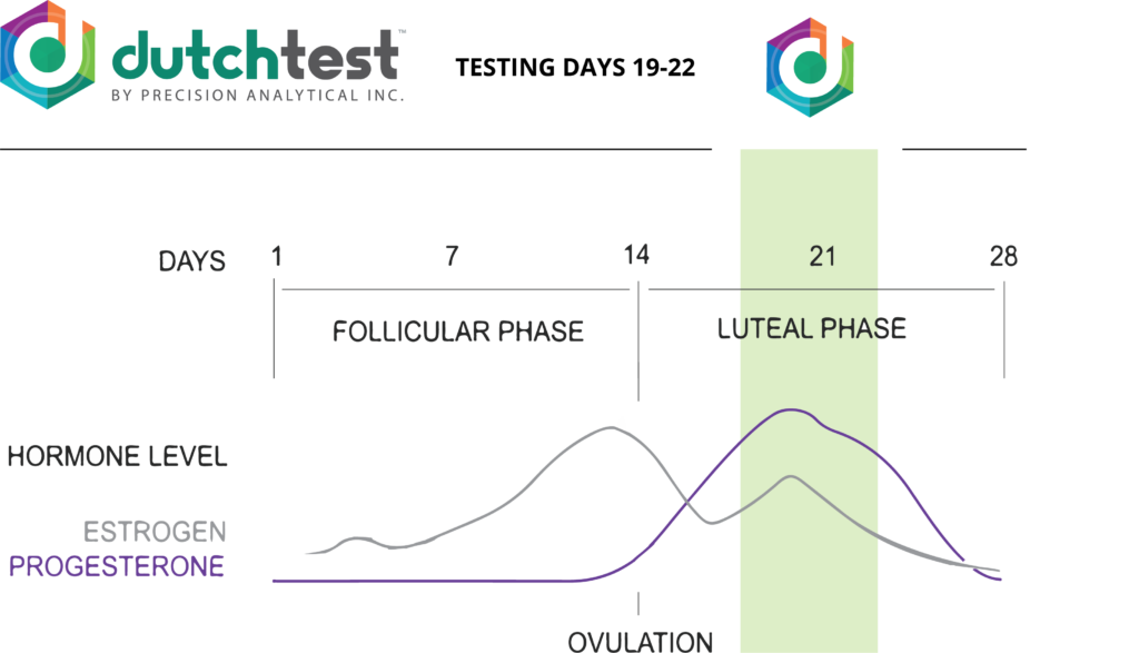 DutchTestLab's tweet photo. We test during day 19 - 22 of a 28-day cycle because... https://t.co/UezHoDuHd2 #PrecisionAnalytical #DutchTest #Hormones https://t.co/xuwMeceVcC