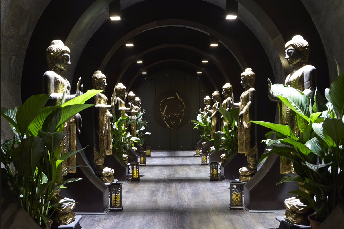 Varanasi tweet media