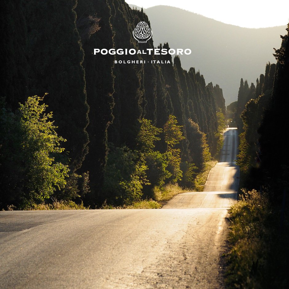 E tra i cipressi, in una assolata giornata d’estate, desiderare di partire e perdersi.
#poggioaltesoro #bolgheri #toscana #cipressi #natura