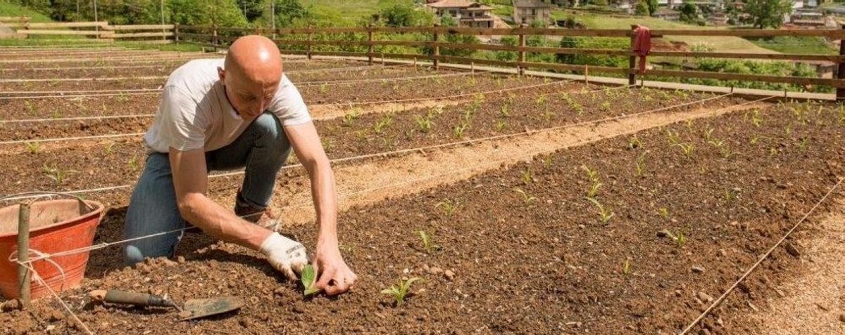 AgriCultrera's tweet photo. Hai mai sentito parlare di #agricoltura #biointensiva? Un metodo di #coltivazione di successo in oltre 140 Paesi! https://t.co/ZJpa09WPih https://t.co/qxytsiUDkL