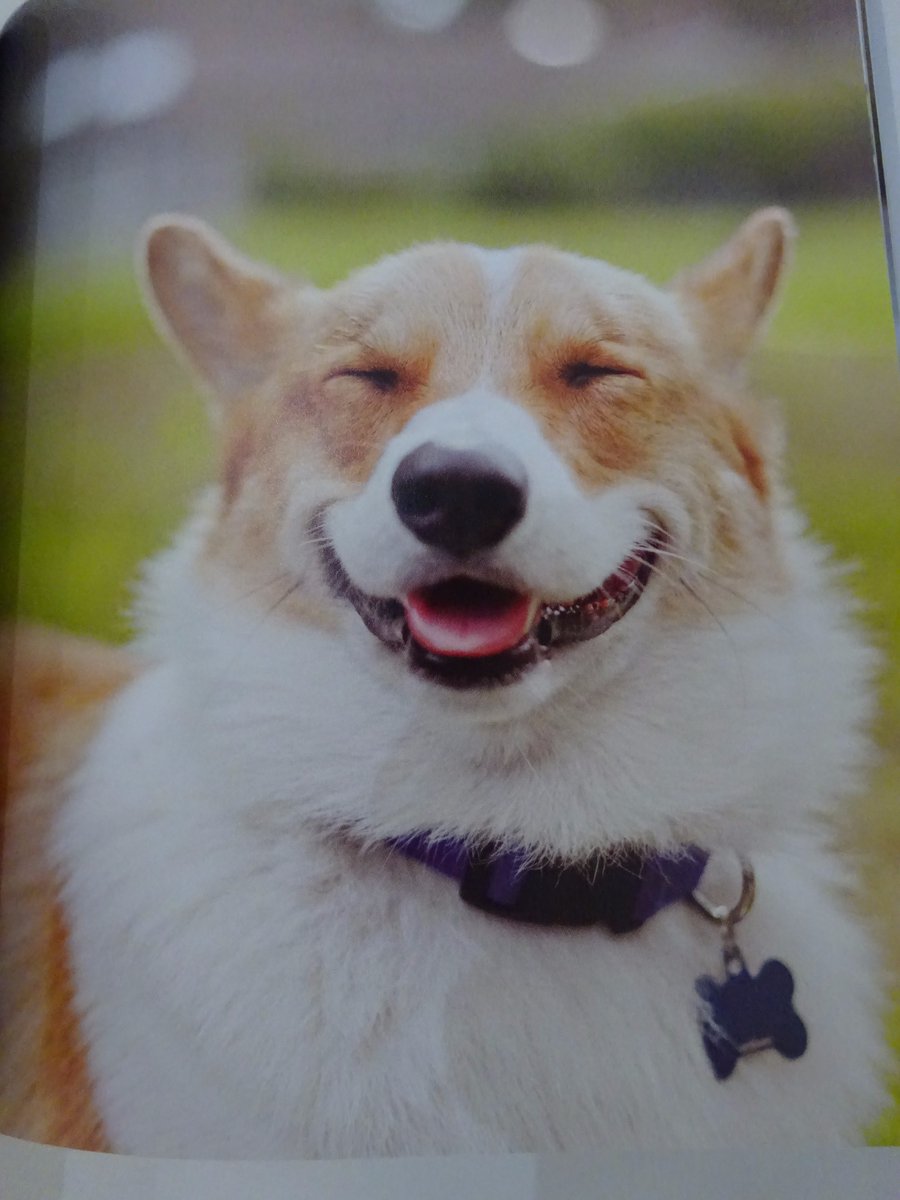 wwnortonUK's tweet photo. This one's for #TongueOutTuesday - taken from #Waggish by @thegracechon & @MelanieMonteiro (out October)!๐
https://t.co/NL8rgBsfEi https://t.co/TpcmOE798w