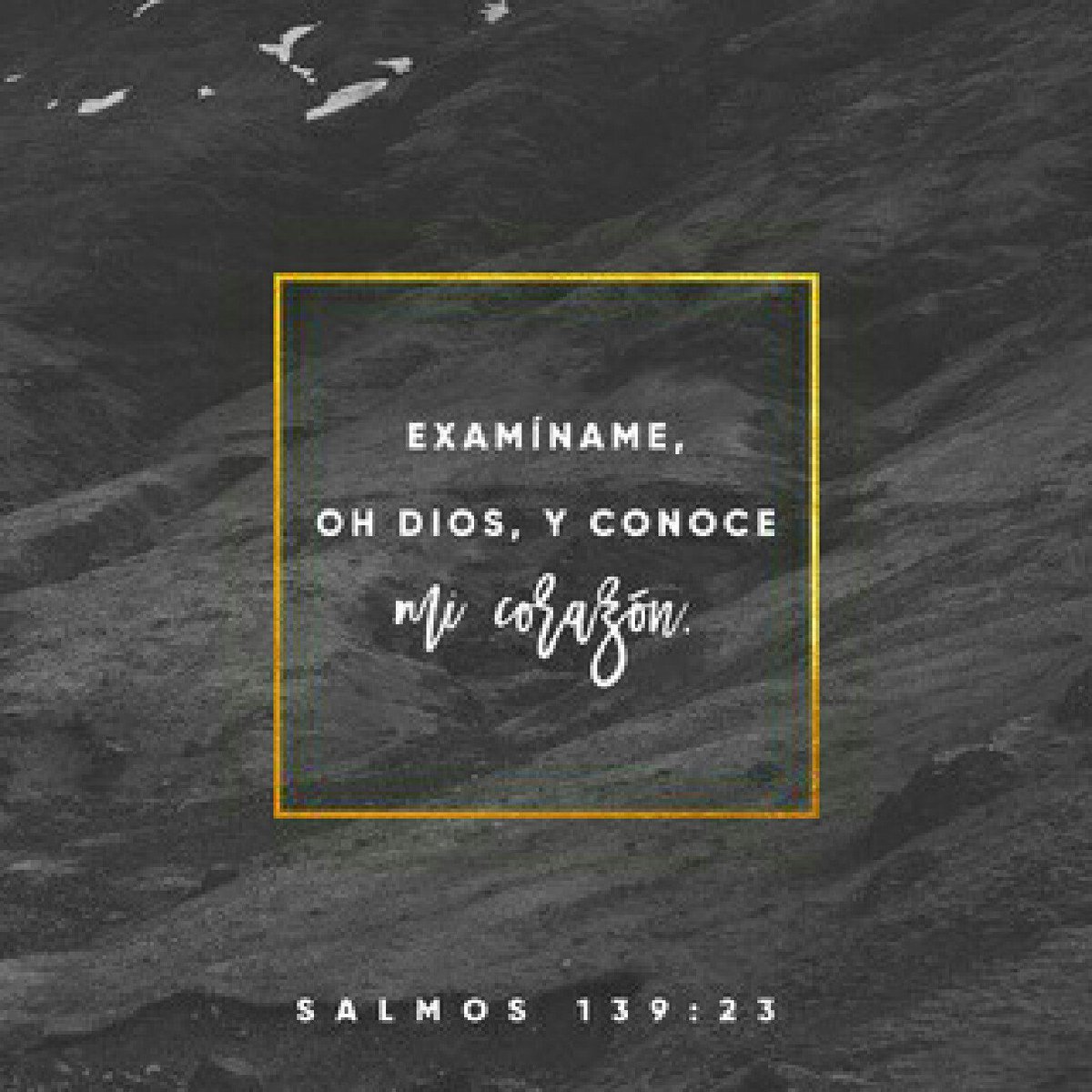 Eliasmna's tweet photo. Examíname Dios, y conoce mi corazón Pruébame y conoce mis pensamientos; Y ve si hay en mi camino de perversidad Y guíame en el camino eterno https://t.co/ZM6r2d6Aq4