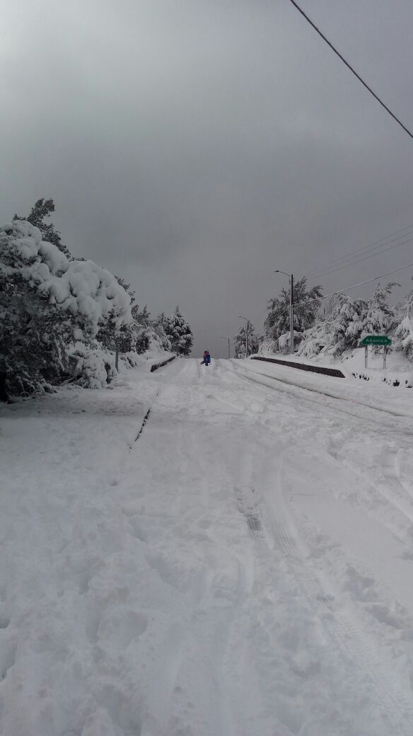 cerp2111's tweet photo. #ChileLindoMG camino Volcán Antuco https://t.co/RDipOVm6QE