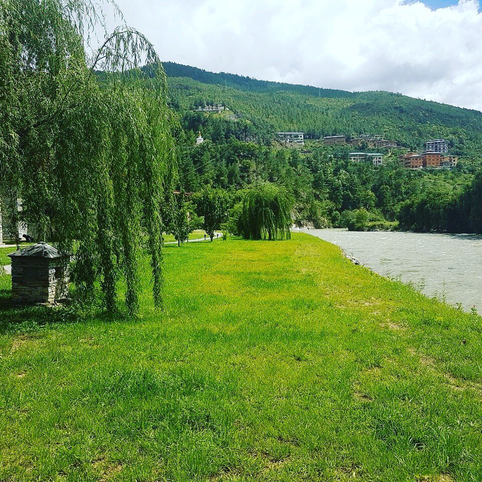 ColCaCo's tweet image. Lush greens - Thinpu, Bhutan
#bhutan #thimpu #bhutandiaries #bhutantourism #traveldiaries #travelandleisure #lonelyplanet #cnttraveler