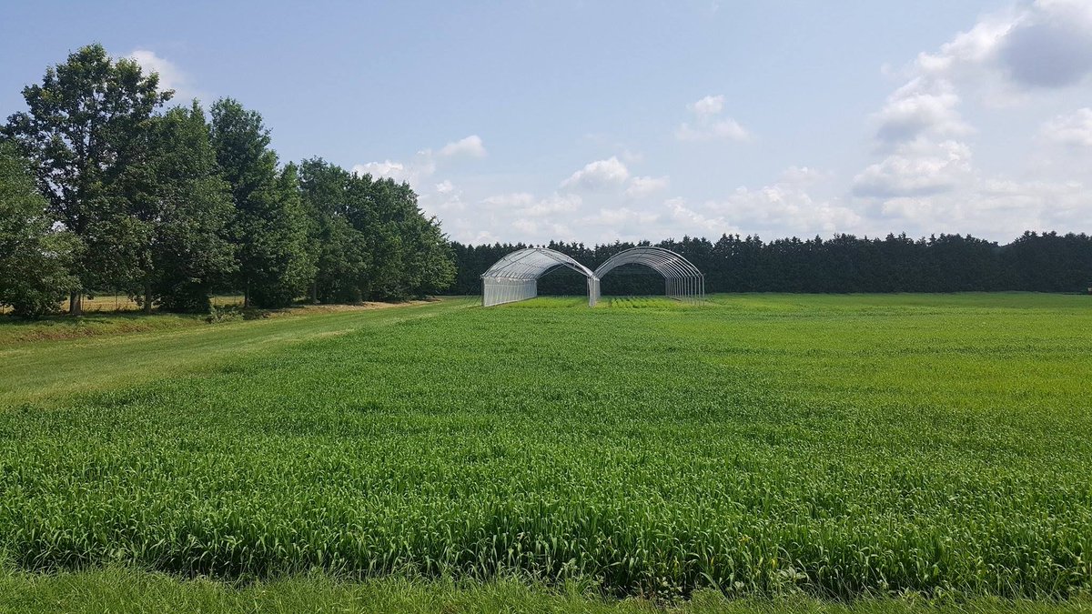 PELICLDJDN's tweet photo. Les champs sont prêts à nous recevoir! Vivement Mercredi et notre journée Portes ouvertes! https://t.co/zFqN3Y6JA4 #AgQc #Lutteintegree https://t.co/4mJEjfFzei