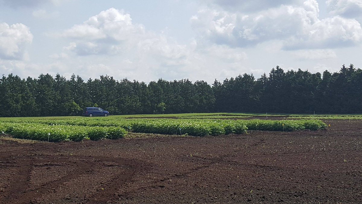 PELICLDJDN's tweet photo. Les champs sont prêts à nous recevoir! Vivement Mercredi et notre journée Portes ouvertes! https://t.co/zFqN3Y6JA4 #AgQc #Lutteintegree https://t.co/4mJEjfFzei