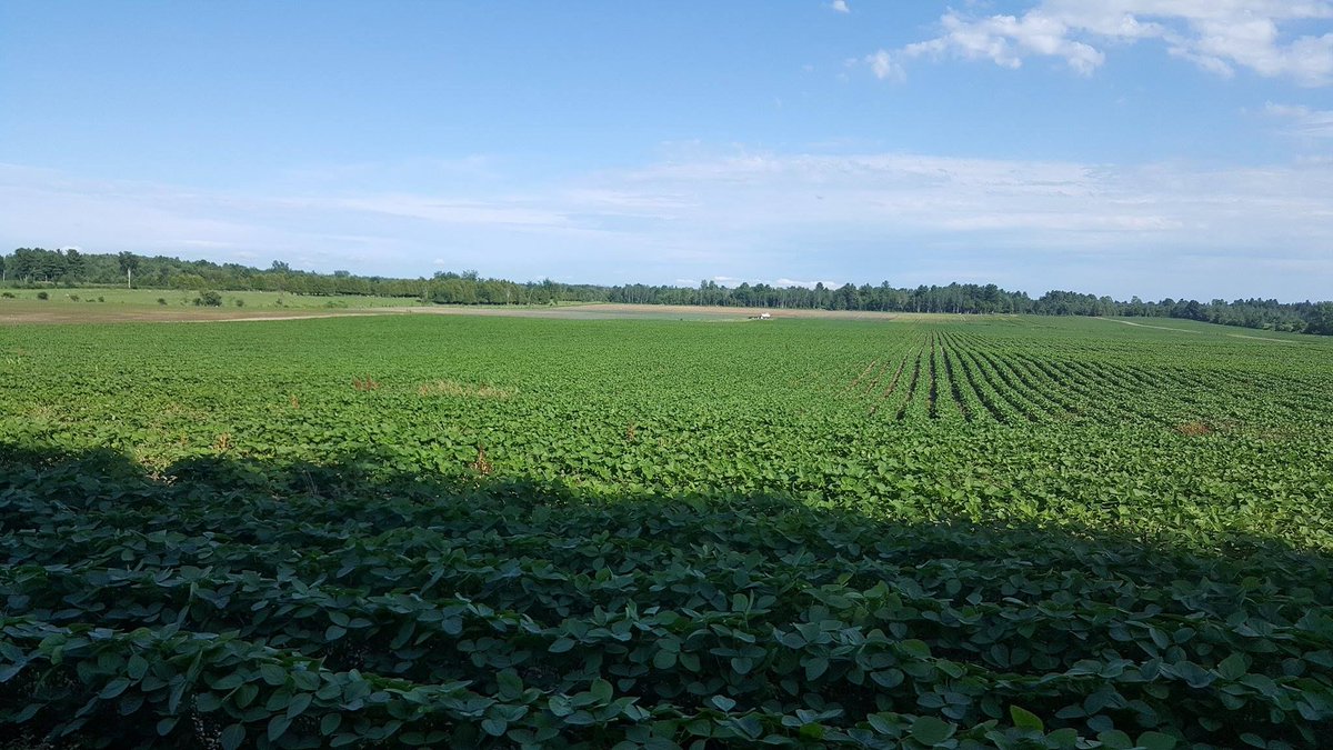 PELICLDJDN's tweet photo. Les champs sont prêts à nous recevoir! Vivement Mercredi et notre journée Portes ouvertes! https://t.co/zFqN3Y6JA4 #AgQc #Lutteintegree https://t.co/4mJEjfFzei