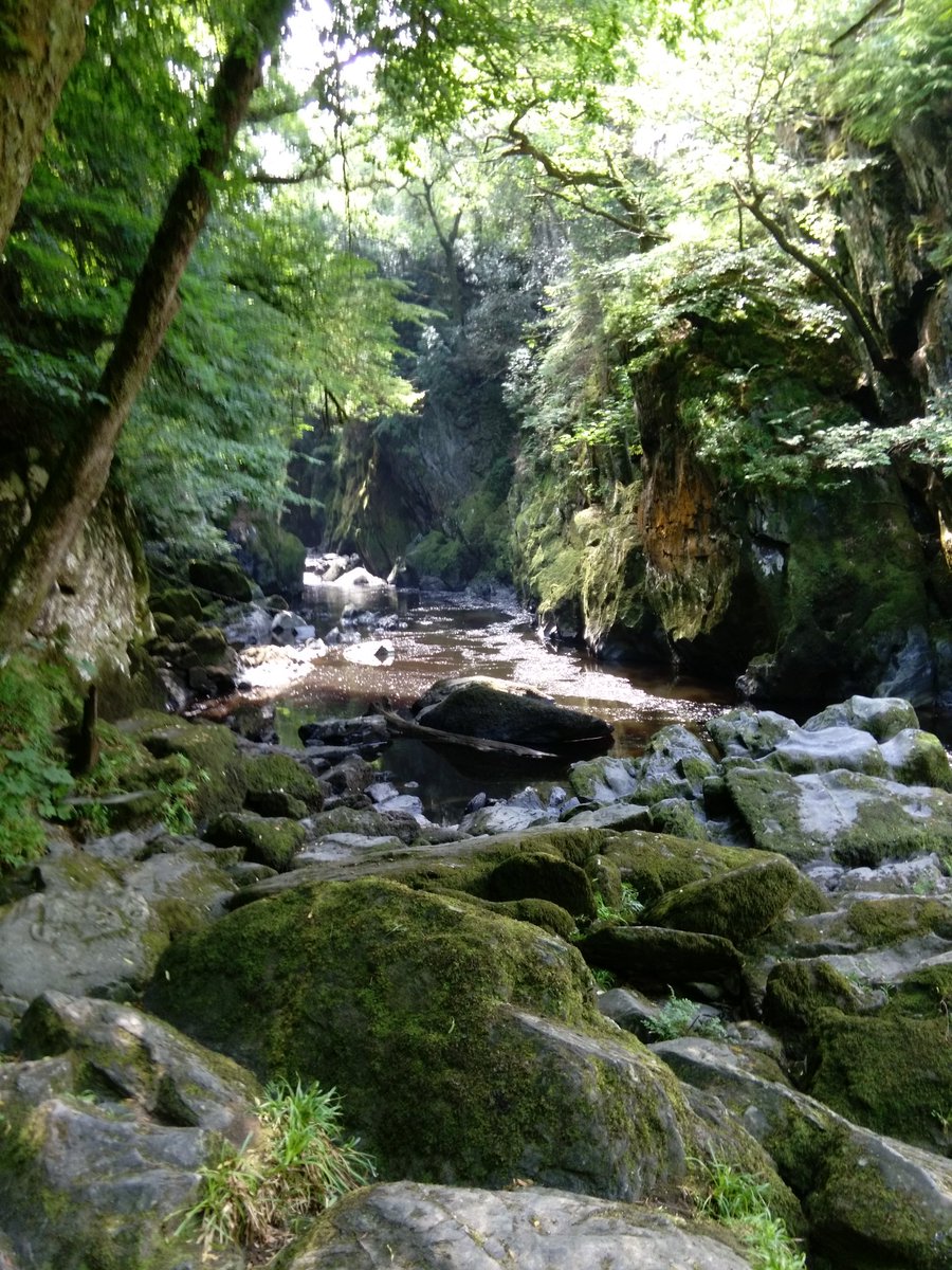 IntoOpenWater's tweet image. First swim, Fairy Glen in betws-y-coed. The Glen was a bit scummy so walked a bit down stream. No fairys seen.