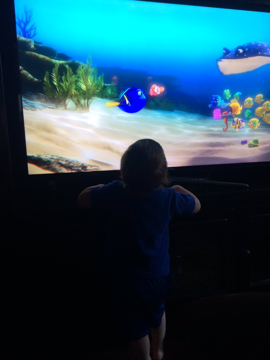 Tara_Lamb's tweet photo. If anyone is looking to #finddory she's at my house. All. The. Time. #DeansFavorite #DoryAgain #WeNeverStopSwimming  @TheEllenShow https://t.co/aWZ6aFTWdv