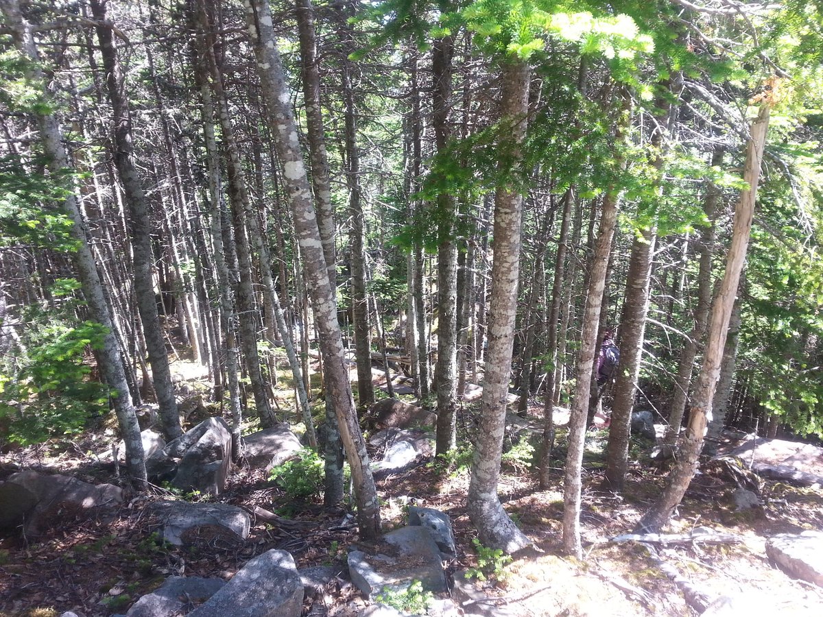 tinafillier's tweet photo. Sugar Loaf Trail
Ocean vs. Plastic bags.
MAKE THE CHANGE.#vocmopenline https://t.co/AF8MgwqRKs