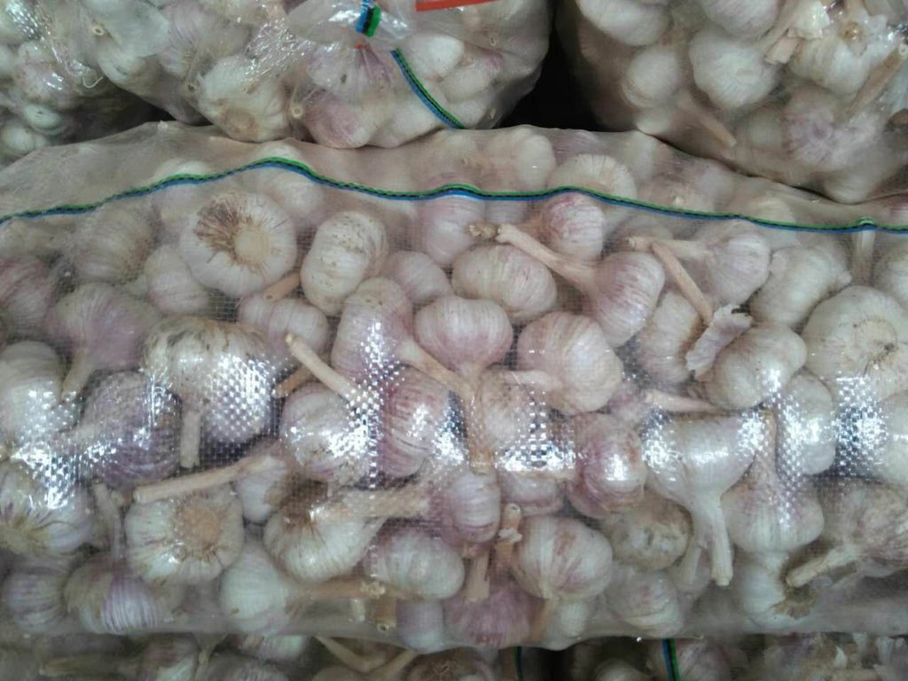 ChineseGarlic's tweet photo. https://t.co/UH5A4Dr4JN