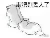 尝试一下怎么发推…… 