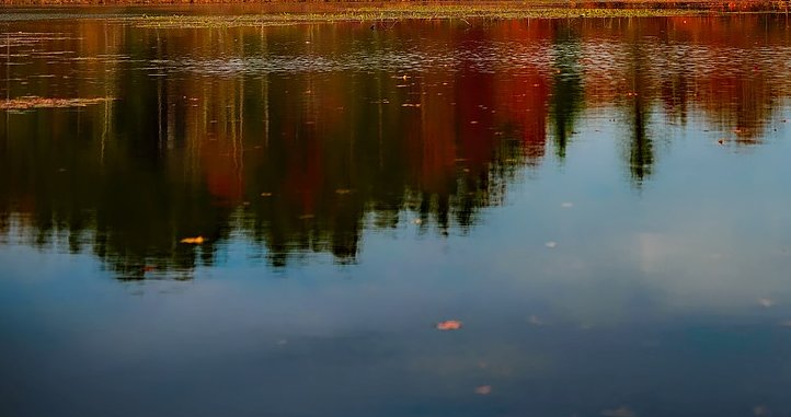 DanceCompResult's tweet image. Take Centerstage @TCDC_dance Dance Competition Results from Seekonk MA #Seekonk #TakeCenterstage #Dance #Competition
dancecompetitionresults.com/take-centersta…