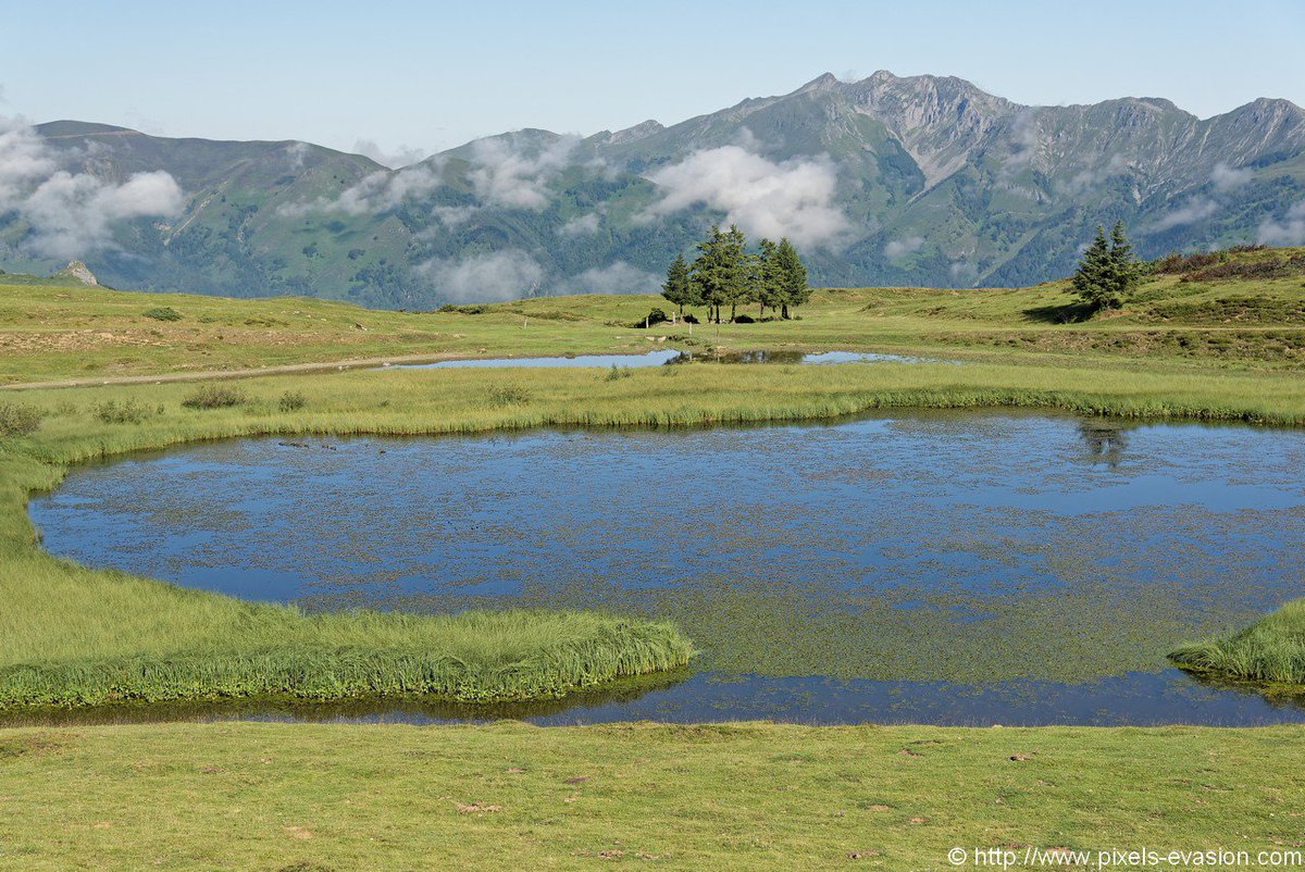 Pyreneesphotos's tweet photo. Lac de Soum @ValdAzun juillet 2017 https://t.co/UgDB98J9Bx