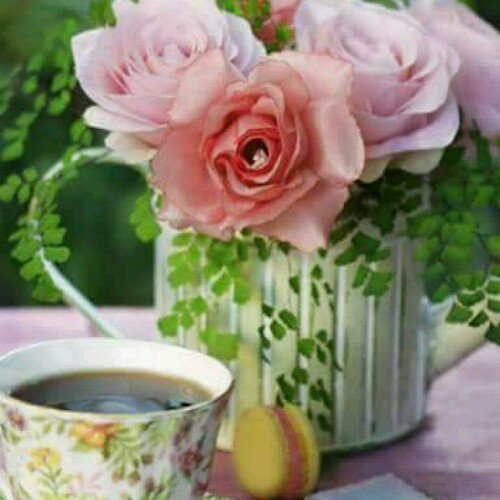 Bagh52 tweet picture