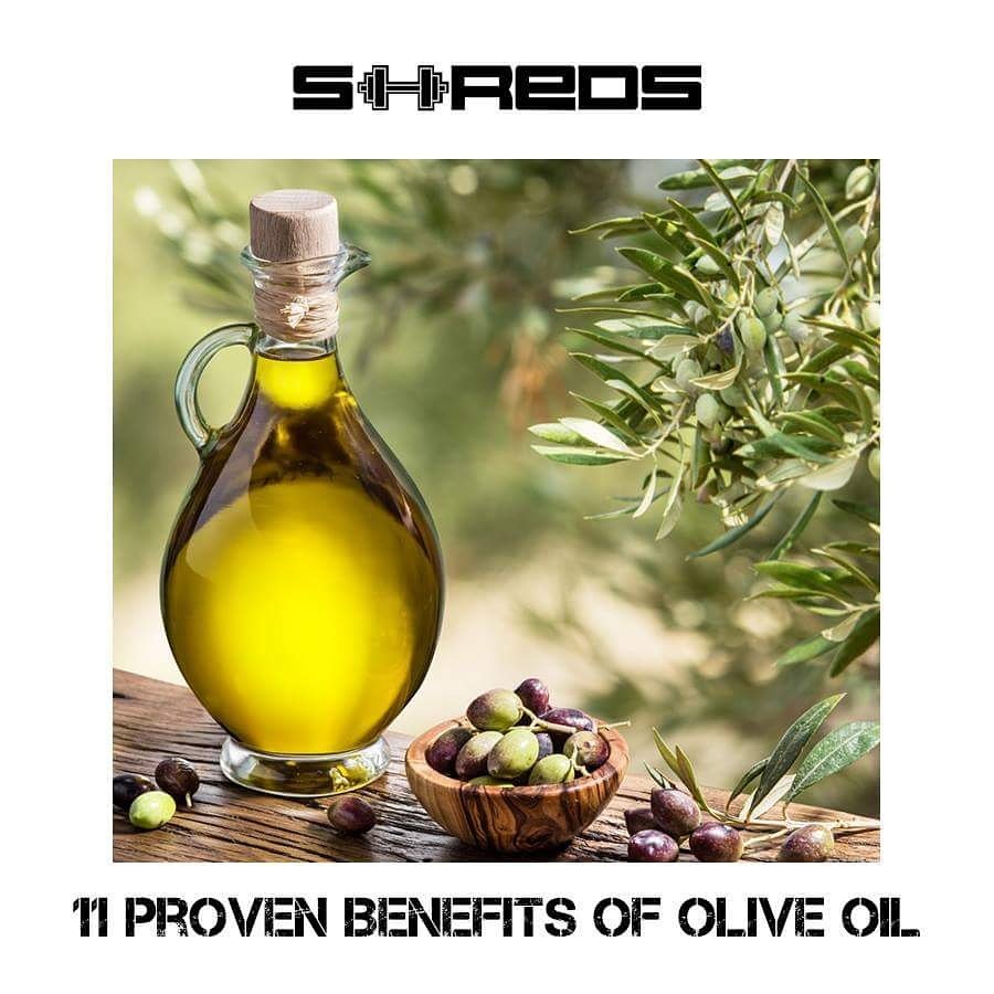 ShredsPK's tweet photo. Some amazing benefits of Olive oil for healthy lifestyle. Details on https://t.co/uS5Yhl0OmD 

#shredspk #open247 #gym https://t.co/05QcWz4hA4