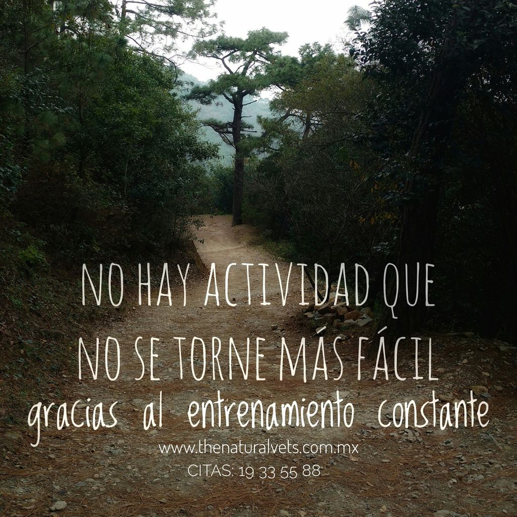 Excelente Martes!
#VidaSaludable #acupuntura #thenaturalvets #volviendoalorigen