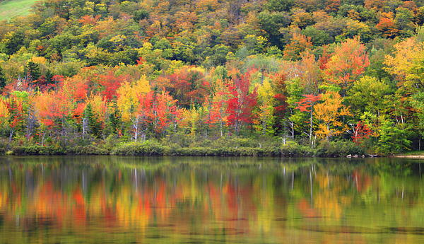 jerichohillspix's tweet photo. New artwork for sale! - " Echo Lake Fall Reflections" - https://t.co/3huWXdi4hZ @fineartamerica https://t.co/5BMFhS2WzF